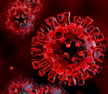 The Color of Coronavirus